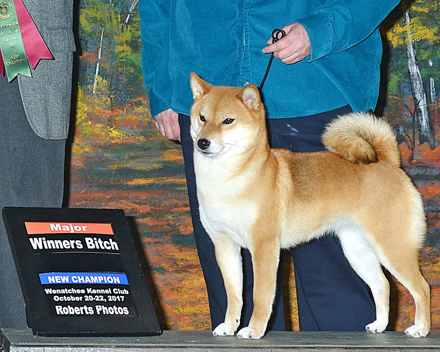 Trillium WB at Wenatchee